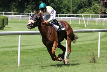 Making the Win: Best Free Horse Racing Tips