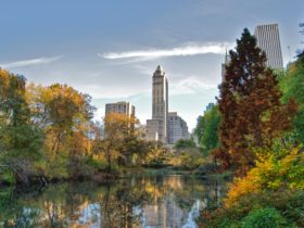 The Best Hotels Near Central Park, New York