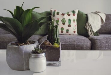 Creating a Safe and Healthy Home Environment Tips for Preventing Hazards